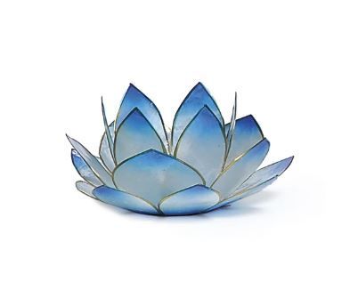 Lotus Licht türkis