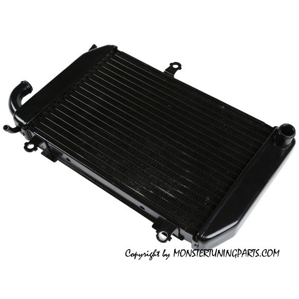RADIATORE ACQUA - COOLING WATER RADIATOR HONDA GL1800 LH 06-11