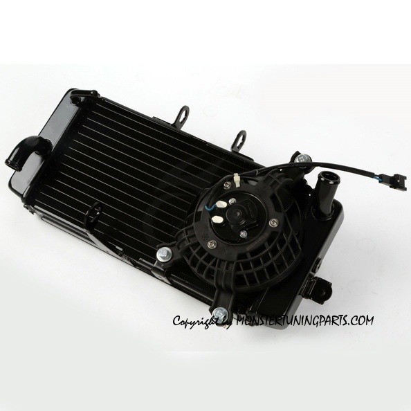 RADIATORE ACQUA - COOLING WATER RADIATOR SUZUKI GW 250 12-14