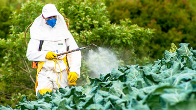 Pesticide