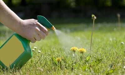 Herbicide and Fungicide