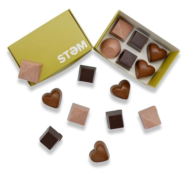 STEM 1/2 gramme de chocolats aux champignons (paquet de 6)