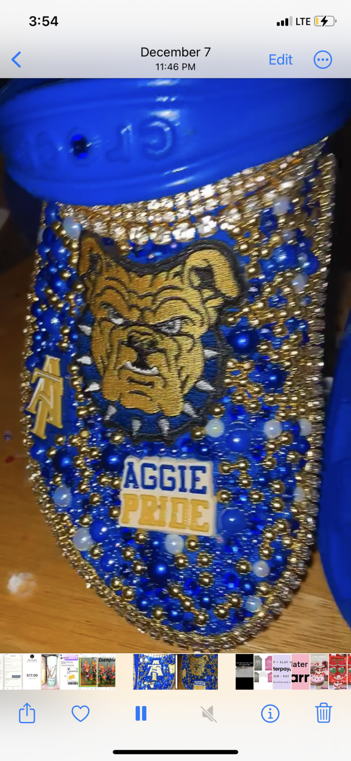 Angie Pride (Pick Your College)