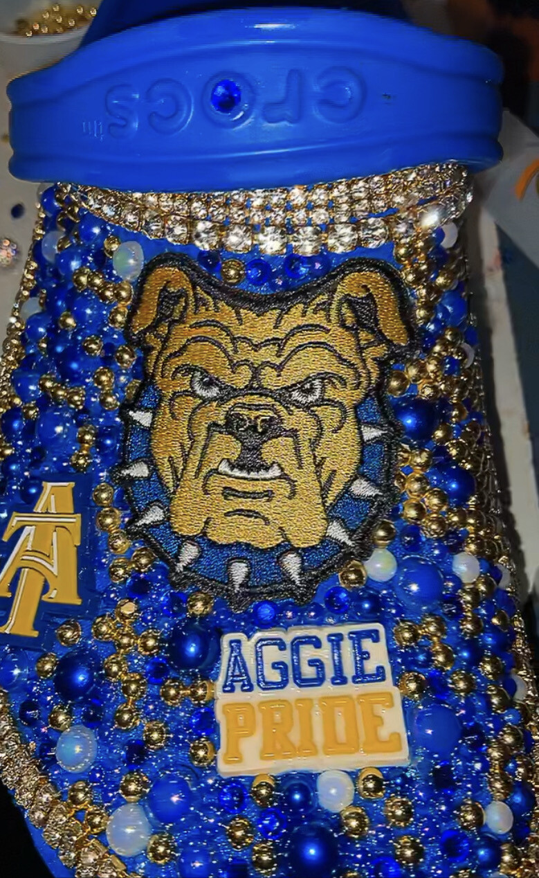 Angie Pride (Pick Your College)
