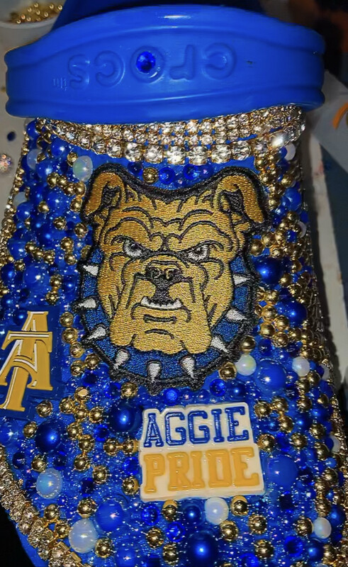 Angie Pride (Pick Your College)