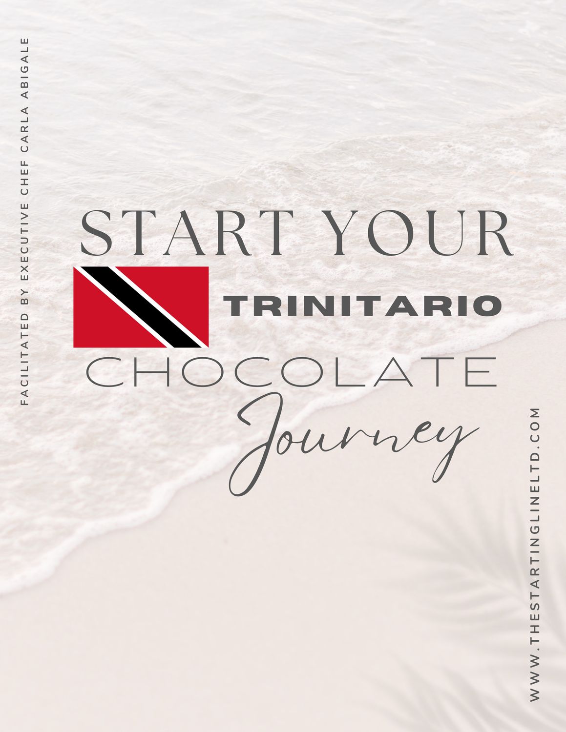::Chef Facilitated -Training Course:: Chocolate Workshop - Level 1 BEGINNERS   (ONSITE or Onsite at Couva, Trinidad &amp; Tobago), Select your Preference:-: 2026 Class Dates: September 12th, 19th, 26th (In-Person) *SATURDAYS* On Location at Couva, Trinidad &amp; Tobago.