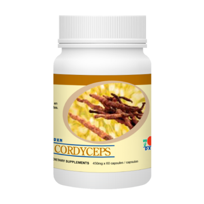 مسحوق فطر كورديسيبس Cordyceps Powder