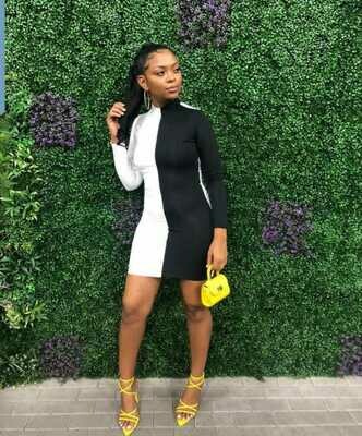 Contrast Dress