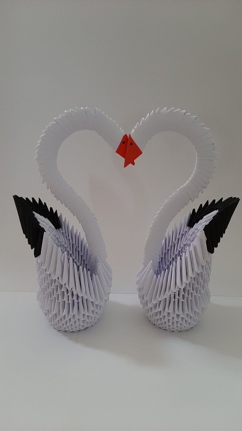 Cygne