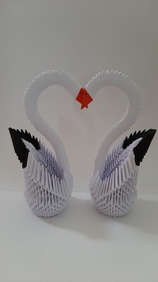 Cygne
