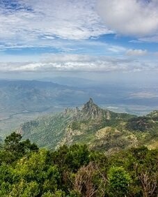 Nilgiris
