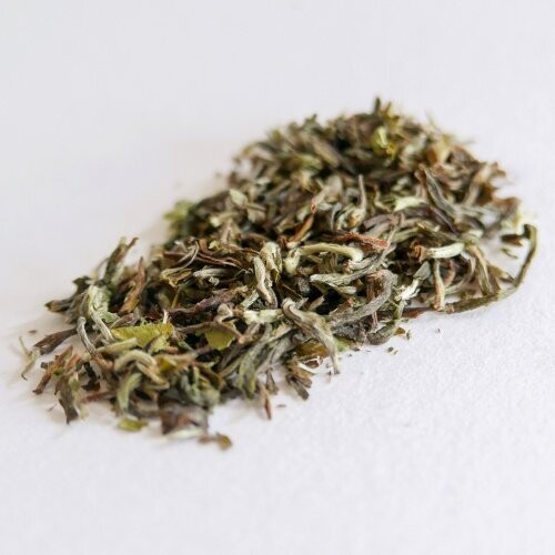 Darjeeling de printemps - La pochette de 25 g