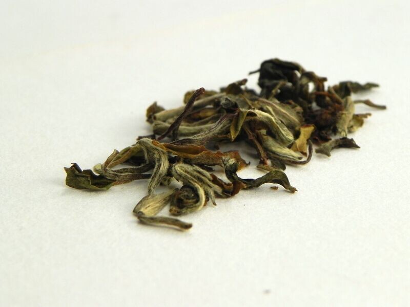 Darjeeling Spring Bloom - La pochette de dégustation de 5 g