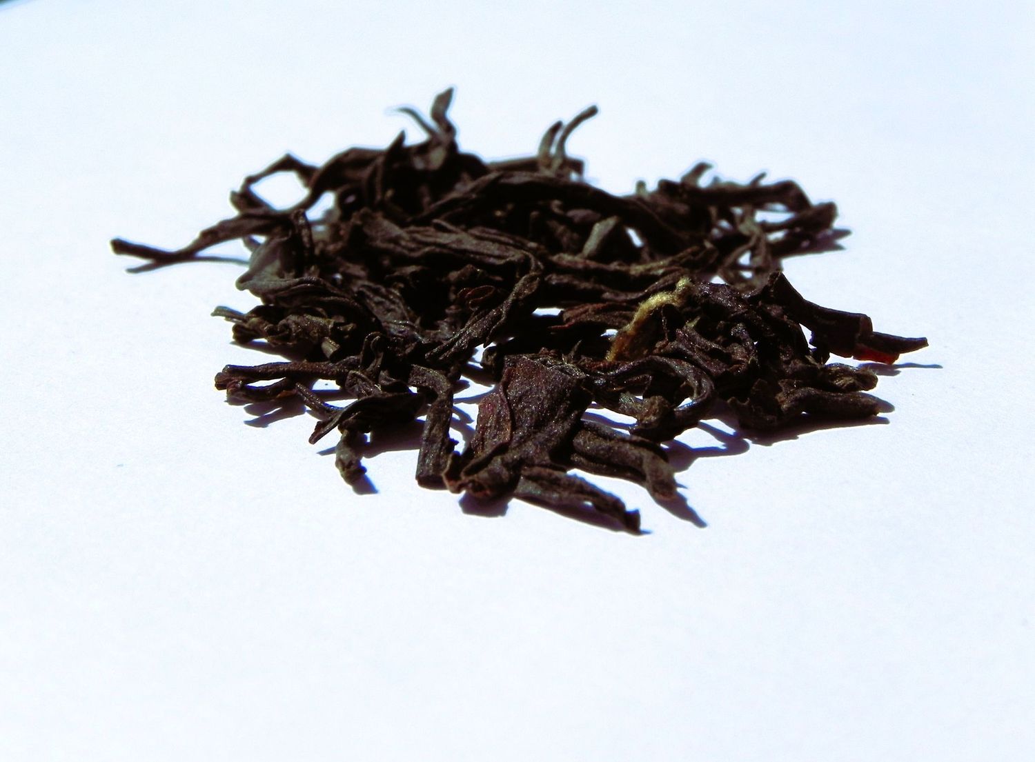 Darjeeling récolte d'automne 2023 - La boîte de 50 g