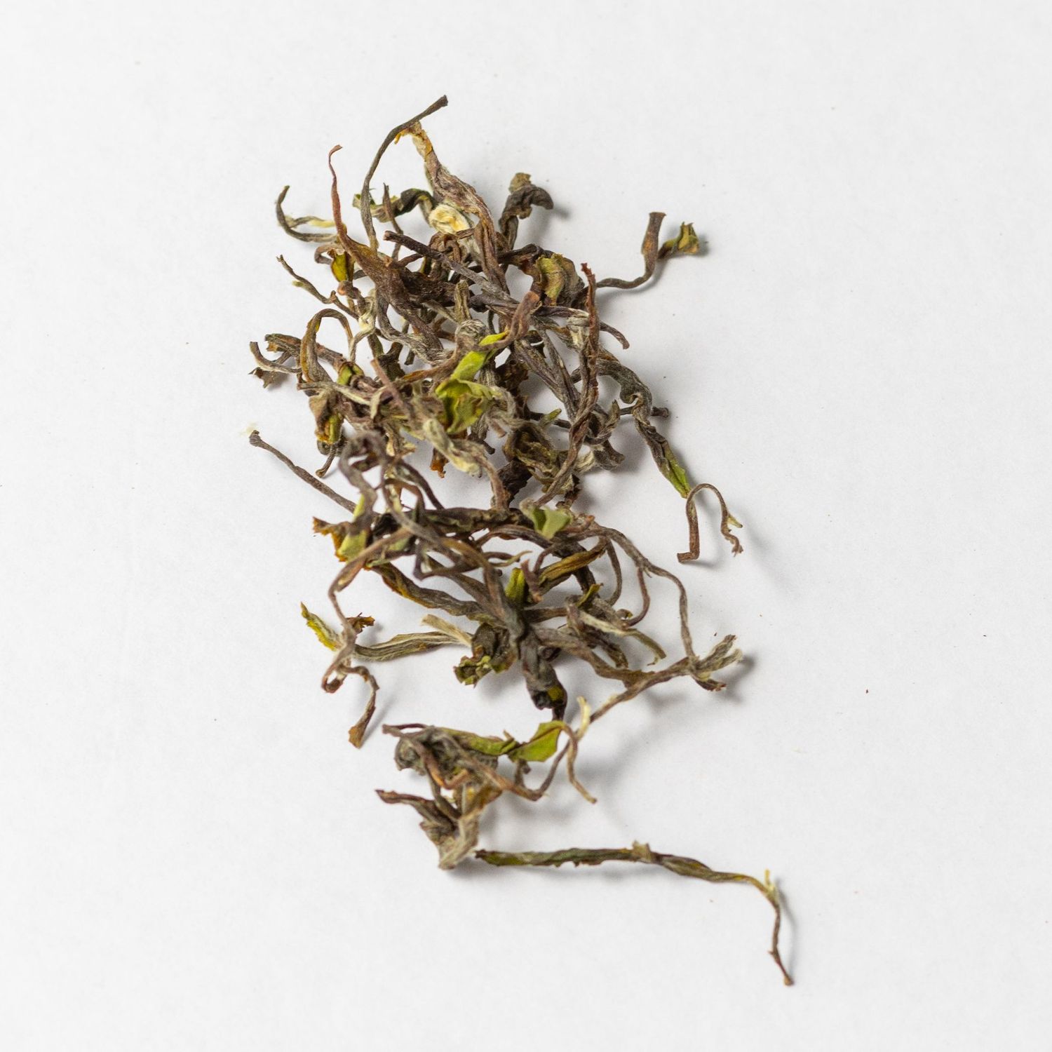 Darjeeling Spring Bloom - La pochette de 25g