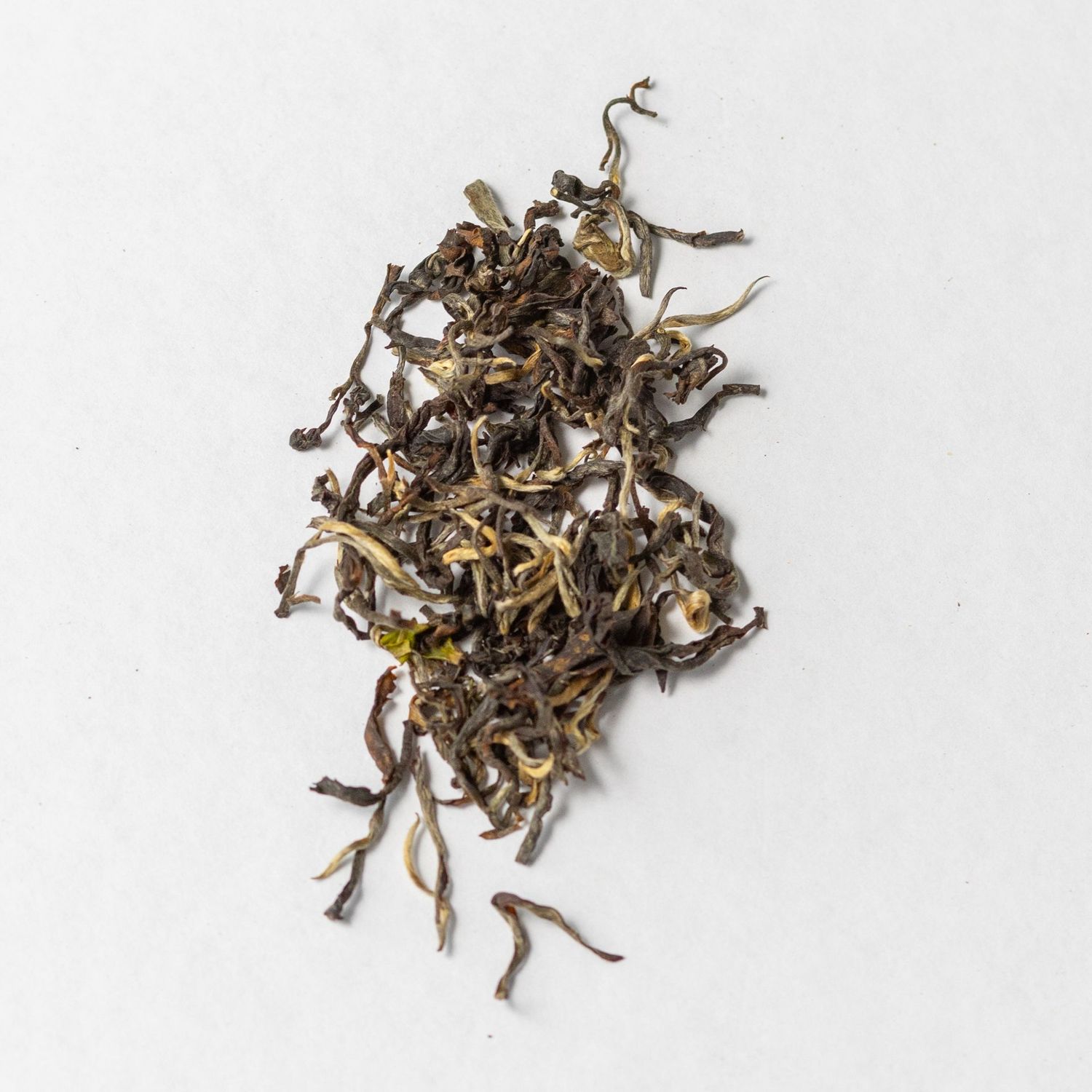 Darjeeling récolte d'automne 2025 - La boîte de 30 g