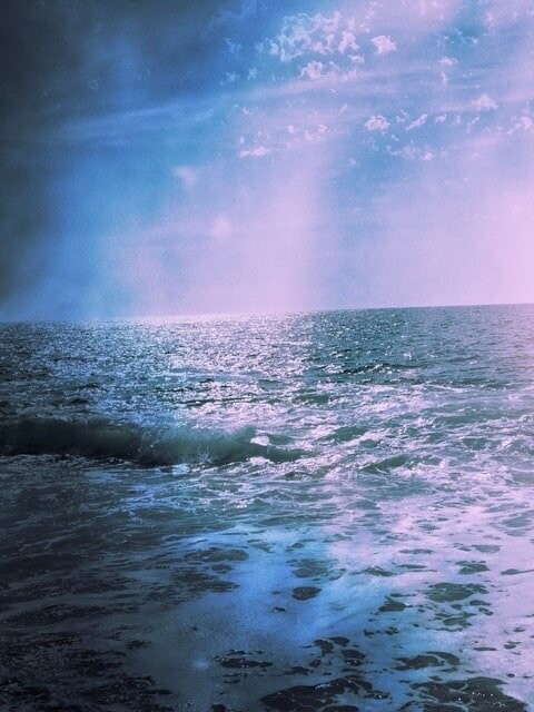 LA GRANDE BLEUE