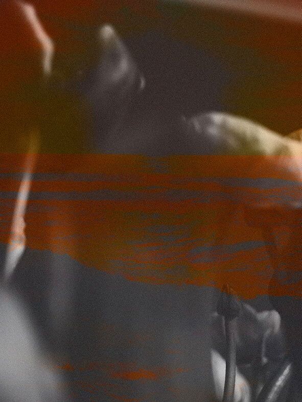 L'INCONNUE II