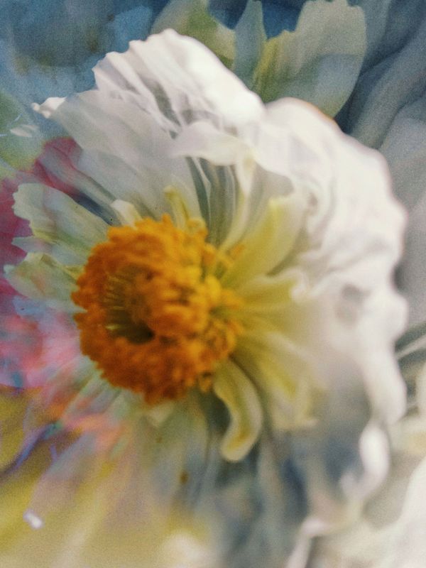 LA DELICATE