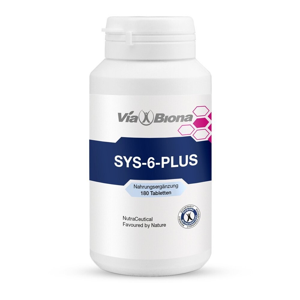 Sys-6-Plus
Abnehm-Programm