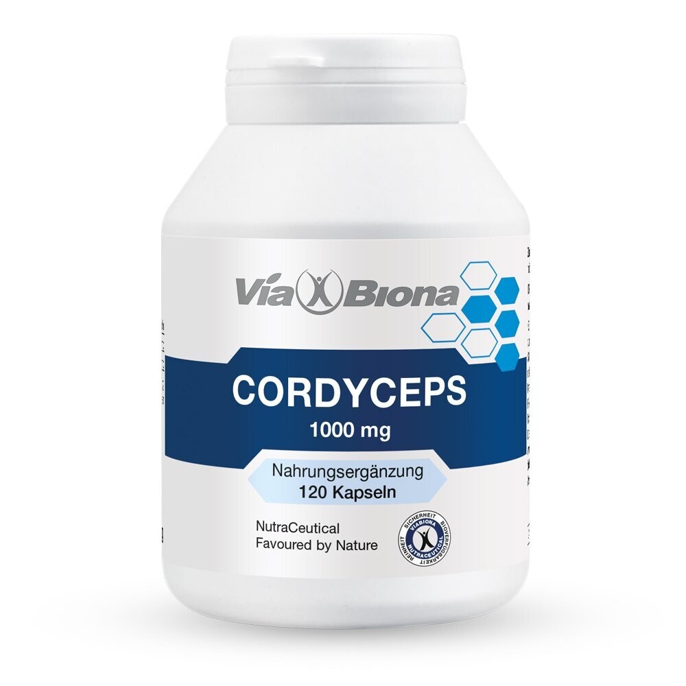 Cordyceps 1.000.

Der "Anti-Burnout"-Pilz