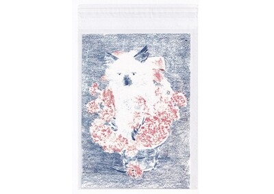 Prints