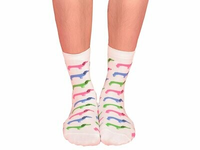 Rainbow Hounds Sock