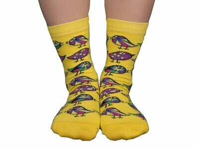 Rainbow Robbin Socks