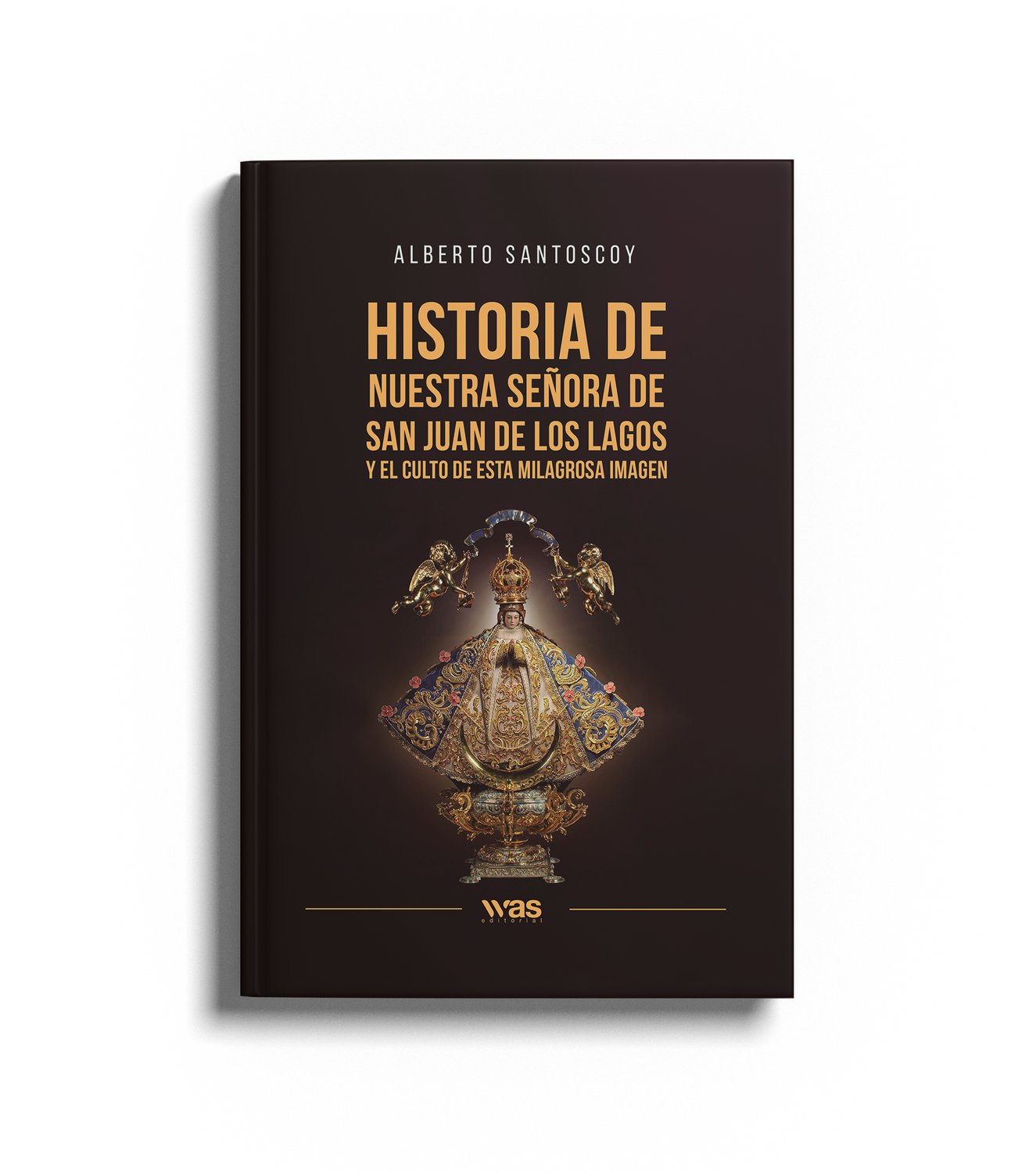 Historia de nuestra señora de San Juan de los Lagos y el culto de esta milagrosa imagen