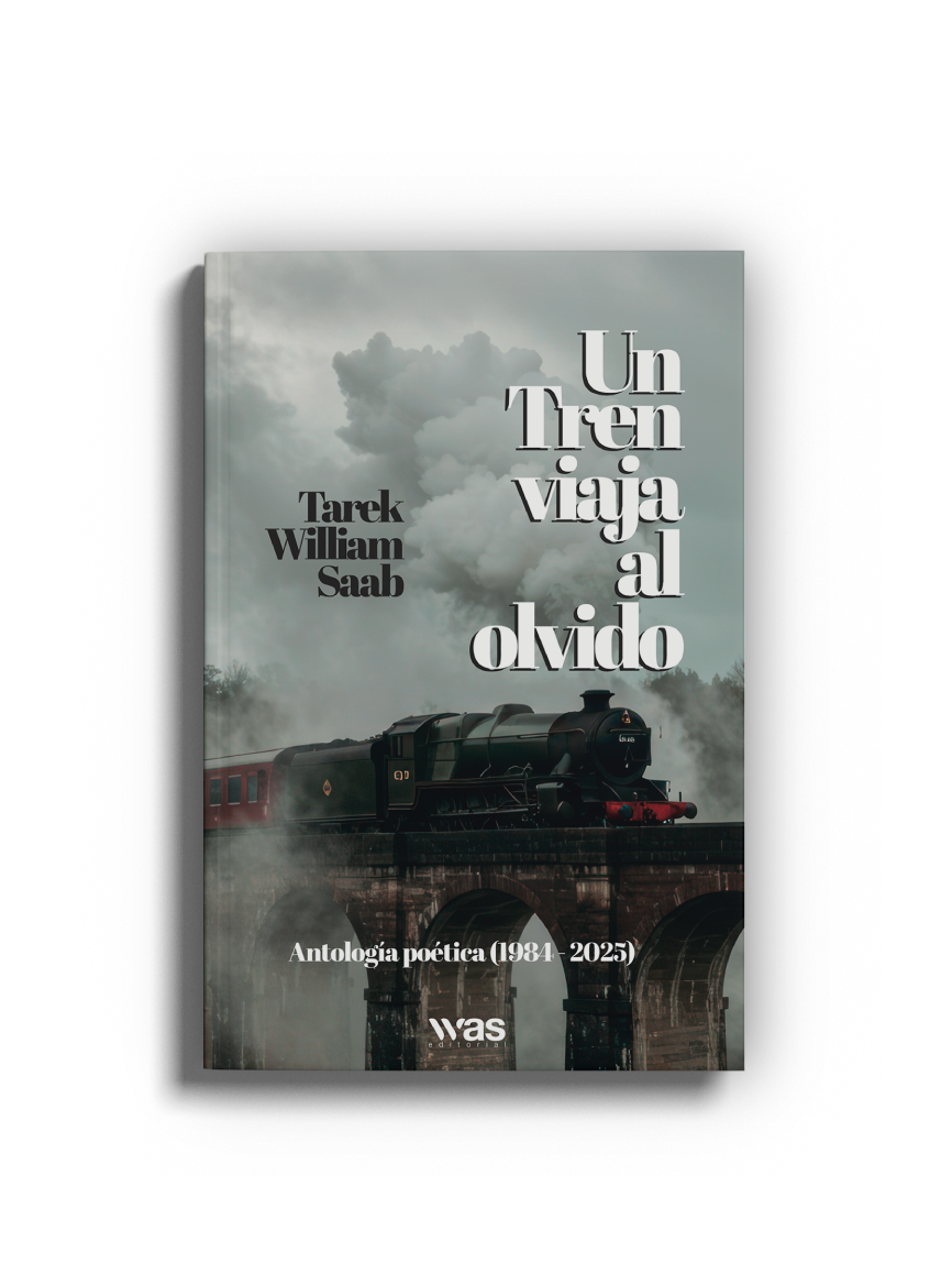 Un tren viaja al olvido