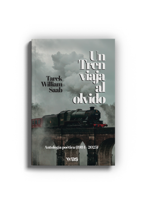 Un tren viaja al olvido