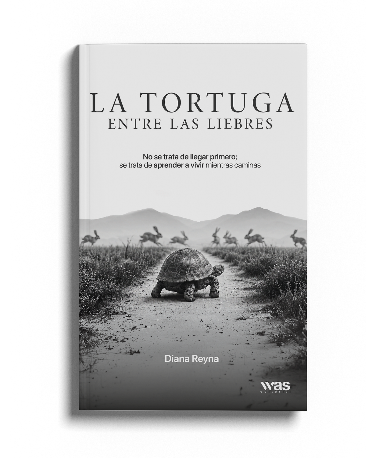 La tortuga entre las liebres