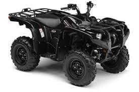 Grizzly