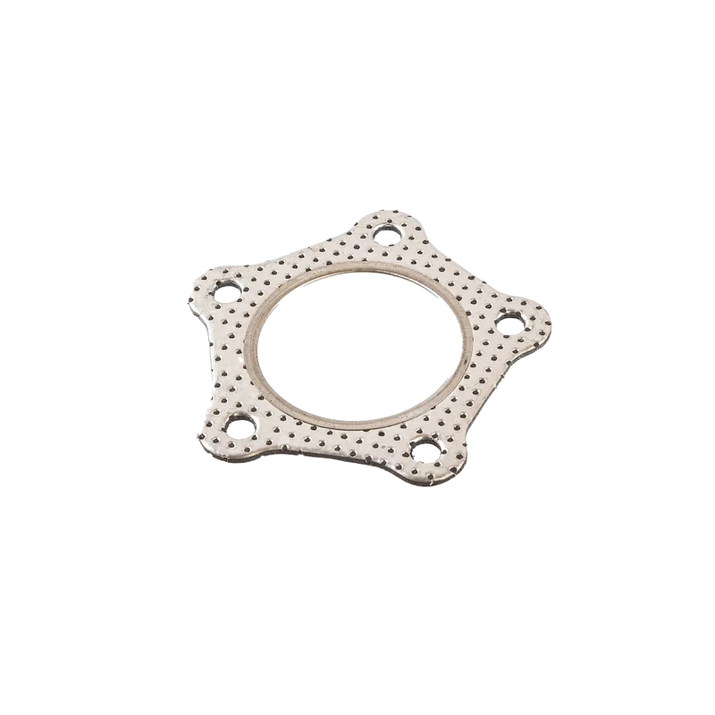 Gasket G2