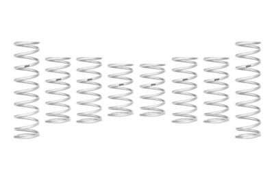 Eibach Stage 3 PRO-UTV Spring Kit - Pro R Sport/Premium