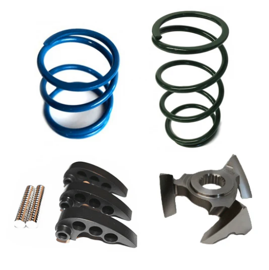 Goldstar Clutch Kit STG2 / RZR XPT (2016)