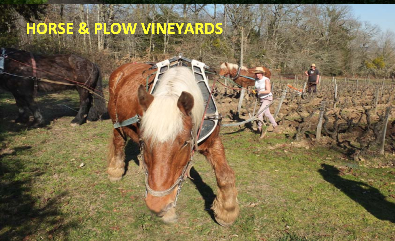 WINE CLUB MARCH 2023 &quot;HORSE &amp; PLOW VINEYARDS - ORGANIC BIO WINES&quot;