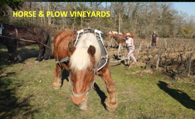 WINE CLUB MARCH 2023 "HORSE & PLOW VINEYARDS - ORGANIC BIO WINES"