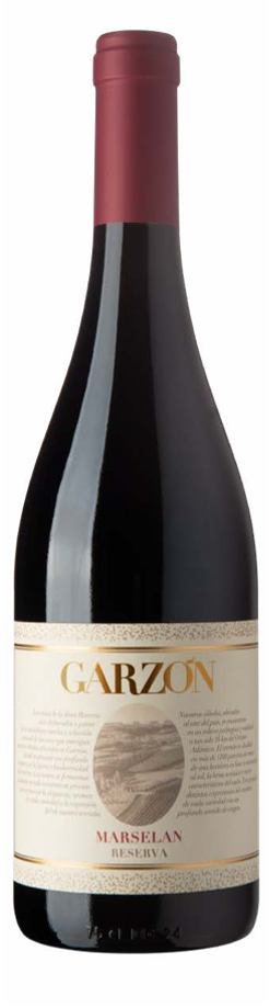 GARZON MARSELAN RESERVA 2021