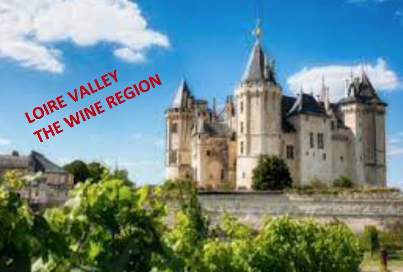 WINE CLUB JULY 2023 "LOIRE VALLEY WINES"