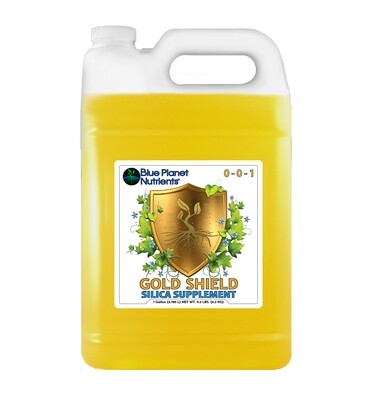 Silica Supplement