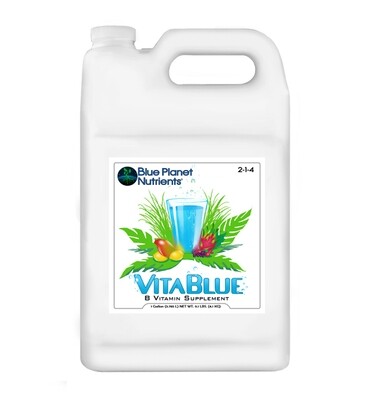 B- Vitamin Supplement