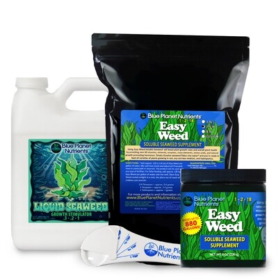 Seaweed Products