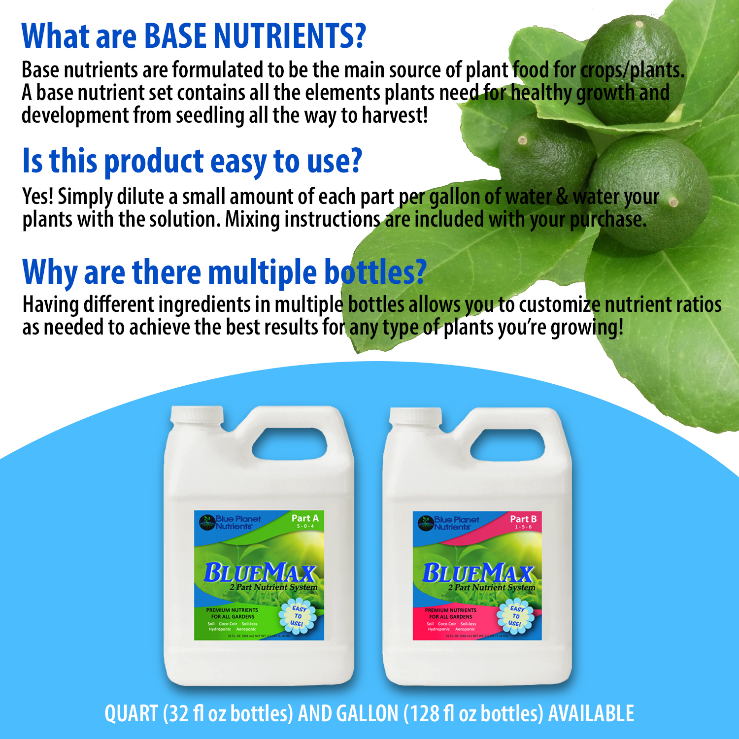 BlueMax Base Nutrients (Quart)