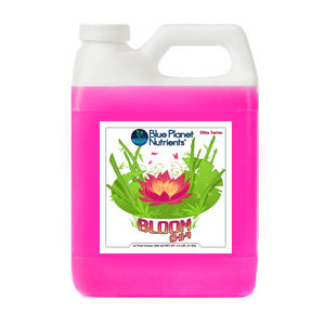 Elite Bloom (multiple sizes)