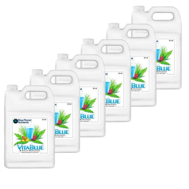 VitaBlue B-Vitamin Supplement 6-Pack (Gallon)