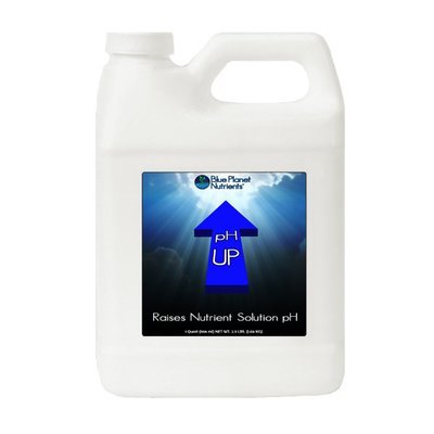 pH UP (Quart)