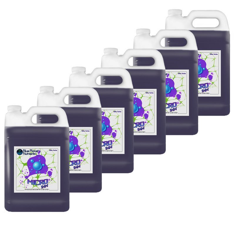 Elite Micro 6 Pack (Gallon)