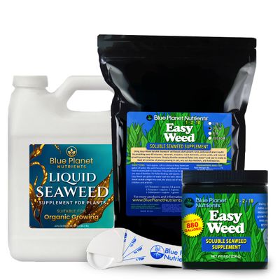 Seaweed Products