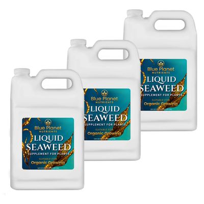 Liquid Seaweed 3 Pack (Gallon)